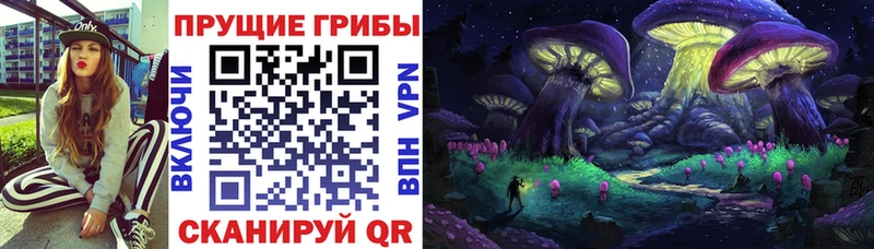Купить Кореновск Галлюциногенные грибы Magic Shrooms